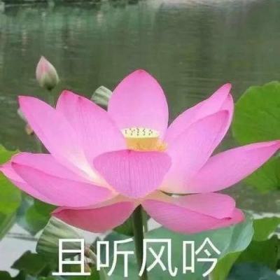 凯文·凯利73岁生日的101条人生建议(中文翻译)